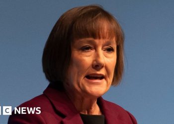 La secretaria galesa Jo Stevens es etiquetada como «dinosaurio» por comunicarse sólo en inglés