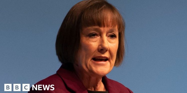 La secretaria galesa Jo Stevens es etiquetada como «dinosaurio» por comunicarse sólo en inglés