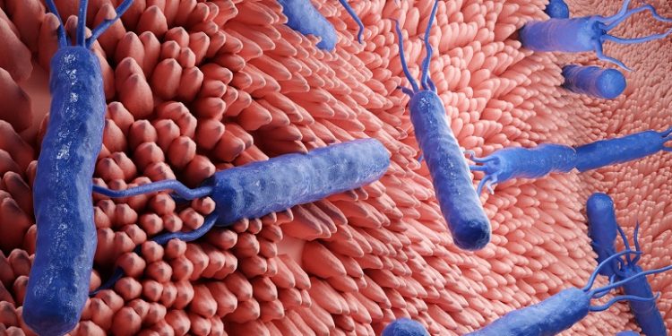 Avance contra la resistencia del 'Helicobacter pylori'