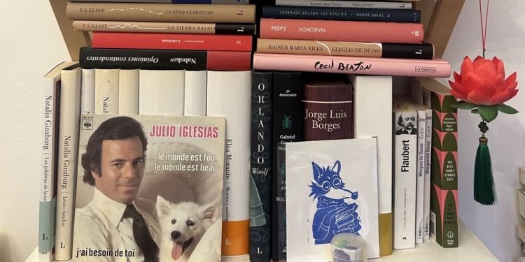 Ordenar la biblioteca en Navidad