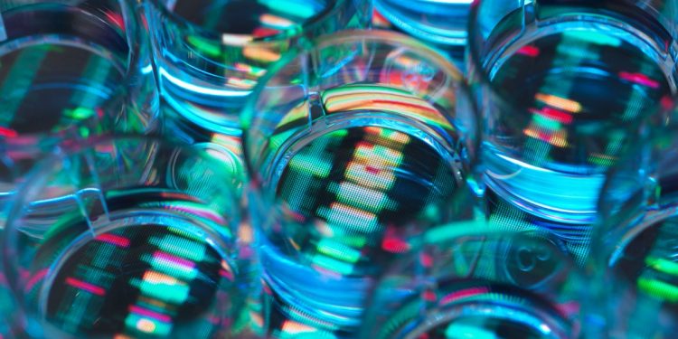 La empresa de biotecnología Chai Discovery, respaldada por OpenAI, recauda 130 millones de dólares Serie B con una valoración de 1.300 millones de dólares