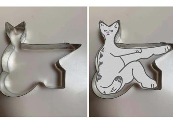 Los cortadores de galletas con formas extrañas despiertan la comunidad y la creatividad