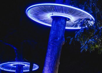 Que faire, que voir, où aller ? La agenda cultural y artística de vivir en Francia a partir del 13 de diciembre