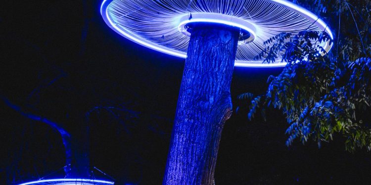 Que faire, que voir, où aller ? La agenda cultural y artística de vivir en Francia a partir del 13 de diciembre