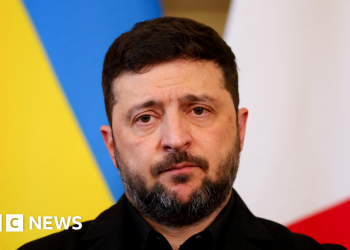 Zelensky dice que Estados Unidos quiere una «zona económica especial» en la región ucraniana de Donetsk