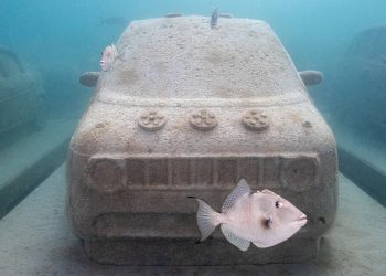recorra el 'atasco' submarino de coches de coral de hormigón de Leandro Erlich en el arrecife de Miami Beach