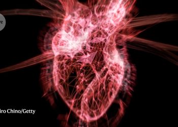 El vínculo de la gripe con las enfermedades cardiovasculares muestra por qué la vacunación es esencial