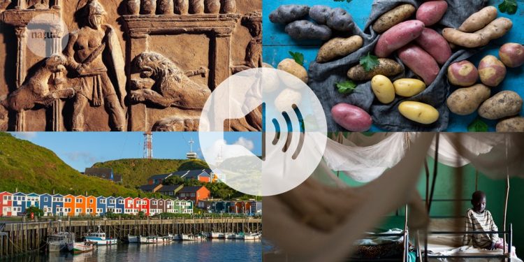 Lo más destacado del Nature Podcast de 2025