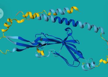 AlphaFold cumple cinco años: estos gráficos muestran cómo revolucionó la ciencia