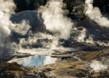 La 'ameba de fuego' sobrevive en condiciones más cálidas que cualquier otra célula compleja