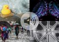 Resumen de Nature's News & Views de 2025