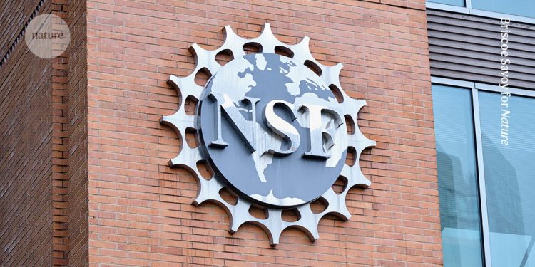 NSF suaviza las reglas de revisión de subvenciones para hacer frente a los retrasos