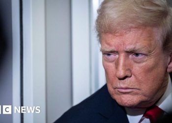 Trump libera a un ejecutivo estafador que lleva días de prisión