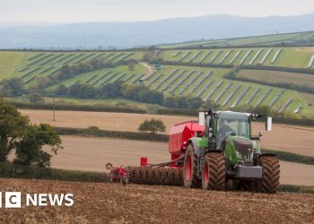 Los agricultores «desconcertados» necesitan un nuevo acuerdo para ser rentables