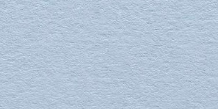 Nosotros somos la catástrofe – Zenda