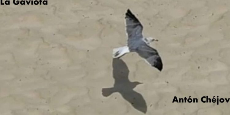 La Gaviota de Irina Kouberskaya: sinfónica, cercana, genial