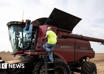Trump presenta paquete de ayuda agrícola de 12 mil millones de dólares en medio de disputas comerciales globales