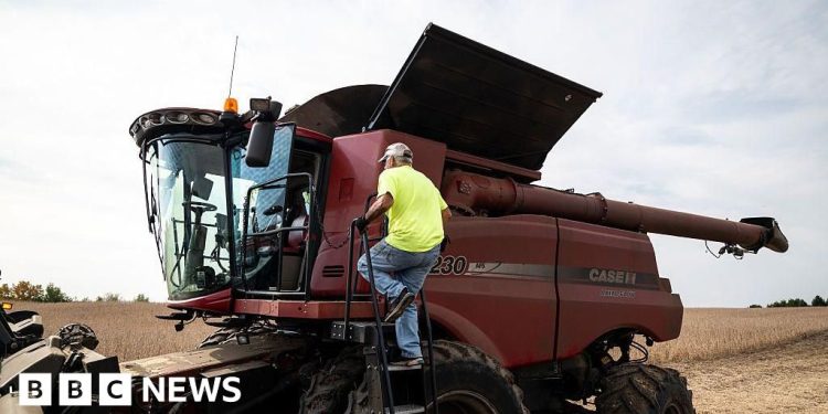 Trump presenta paquete de ayuda agrícola de 12 mil millones de dólares en medio de disputas comerciales globales