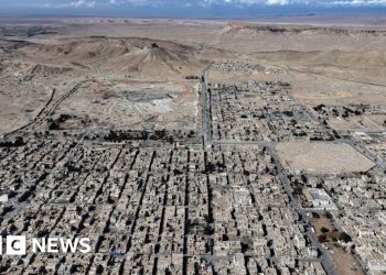 Dos soldados estadounidenses y un intérprete asesinados por un pistolero del Estado Islámico en Siria, dice el ejército estadounidense