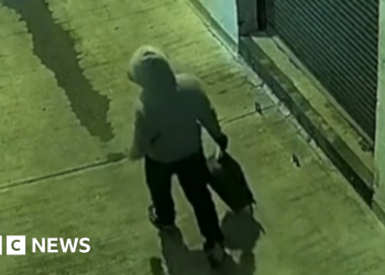 La policía arresta al sospechoso del incidente con una bomba casera y pone fin a una persecución de años