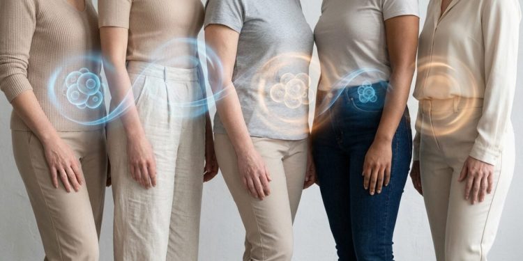 Fertilité féminine: este gran estudio bouleverse le mythe entre morphologie et capacidades reproductivas