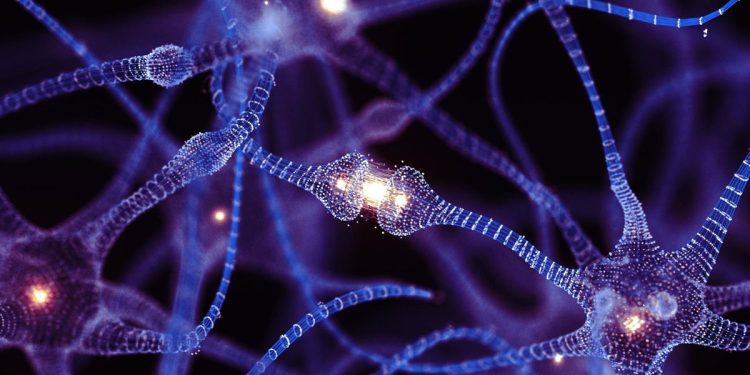 Un implante cerebral de un solo chip promete transformar la conexión entre humanos y máquinas