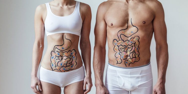 Cómo los hongos intestinales se relacionan con la enfermedad