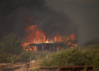 Los incendios forestales son en su mayoría prevenibles»