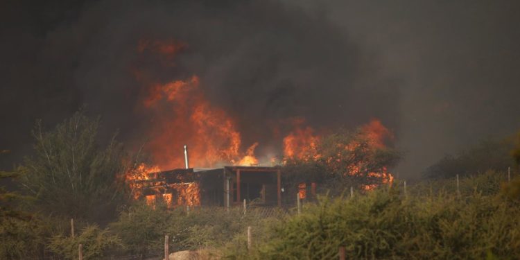 Los incendios forestales son en su mayoría prevenibles»