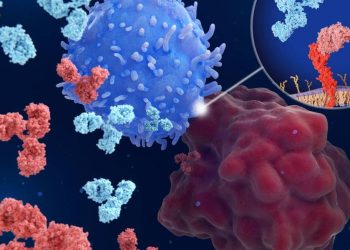 Inhibidores de puntos de control inmunológico – HealthyWomen