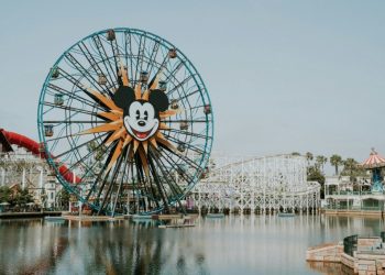 Google prueba formatos de anuncios que impulsan las reservas de experiencias