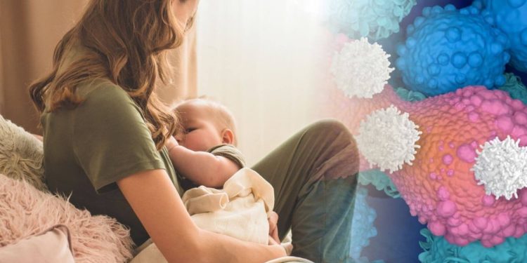 activa células que pueden frenar el cáncer más agresivo hasta 50 años después