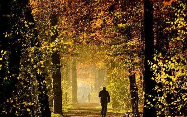 ¿Cómo es vivir con un trasplante de riñón de otra persona?