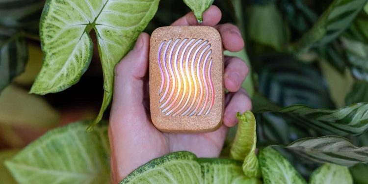 Los 12 mejores regalos para los amantes de las plantas: edición tecnológica