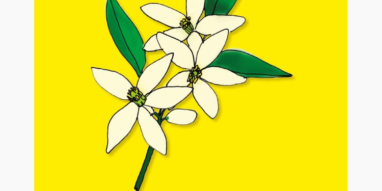 Esa voz en tu cabeza ¿es la verdad?