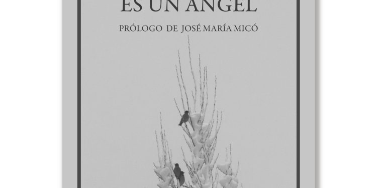 Precisión en la fugacidad – Zenda