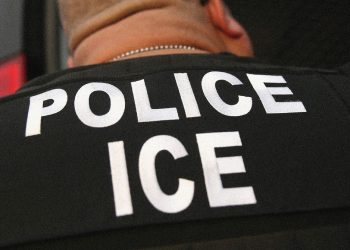 ICE busca una mejora cibernética para vigilar e investigar mejor a sus empleados