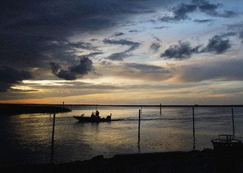 El Departamento de Vida Silvestre y Pesca de Luisiana está deteniendo personas para ICE