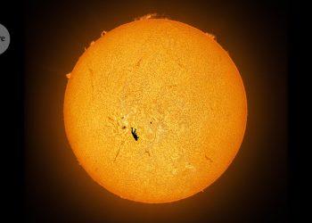 Las mejores imágenes científicas de 2025: selecciones de la naturaleza