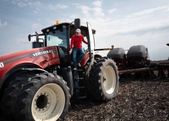 El rescate agrícola de Trump no detendrá el dolor de la guerra comercial con China