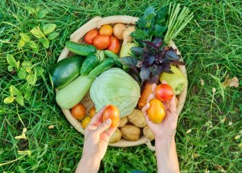 ¡Esta legumbre invernal deja atrás la leche en calcio y la naranja en vitamina C!