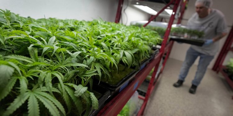 Una guía sobre lo que está cambiando y cuándo: NPR