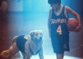'Air Bud' cobra otra vida gracias a la redistribución de distritos en Missouri: NPR