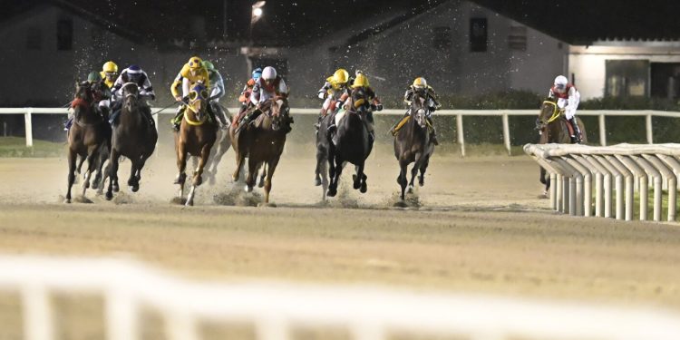 Maroñas cierra el año calendario con 14 atractivas contiendas que incluyen el clásico Clausura