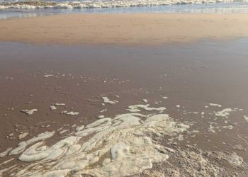 Playas de Punta del Este: Intendencia explica el porqué del agua marrón y asegura que están aptas para baños