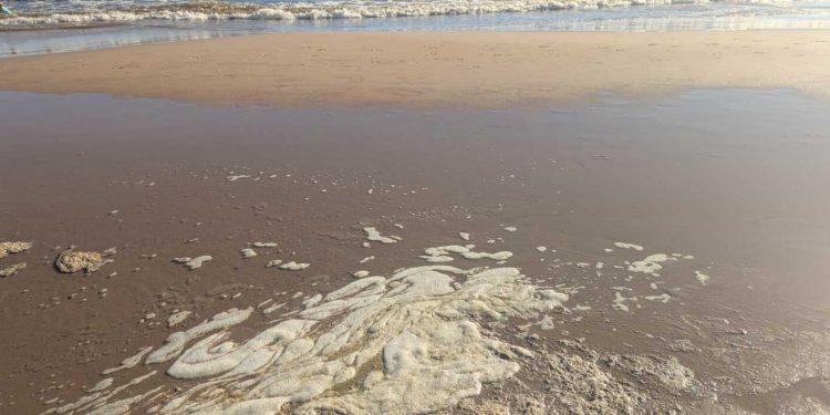 Playas de Punta del Este: Intendencia explica el porqué del agua marrón y asegura que están aptas para baños