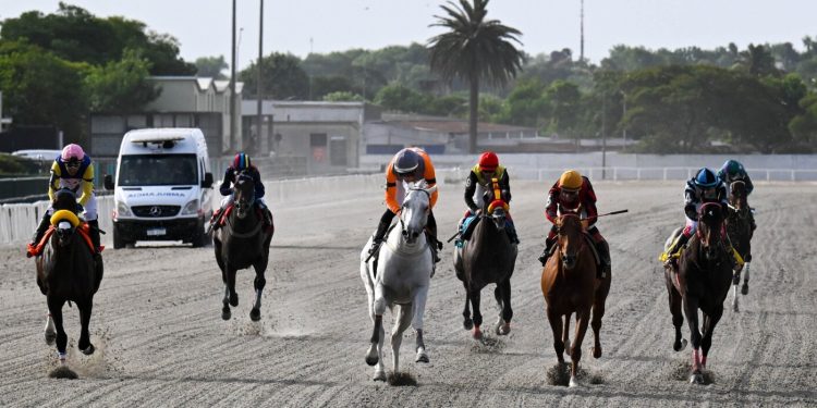 El clásico Clausura a manos de Sherif Dillon para cerrar el año calendario en Maroñas