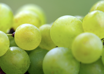 Cómo actuar ante un atragantamiento infantil con las uvas de Nochevieja