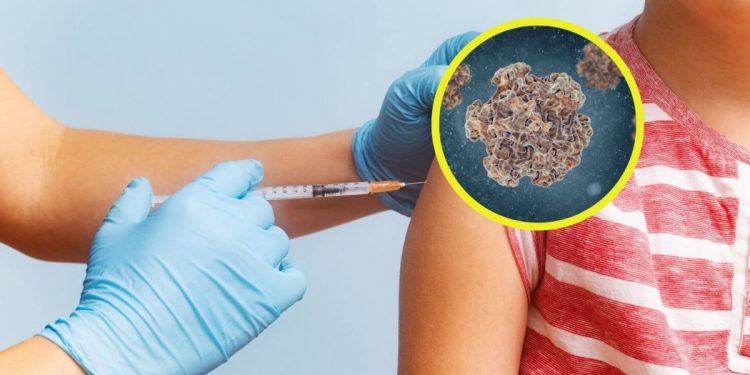 dos grandes revisiones con más de 132 millones de personas lo confirman