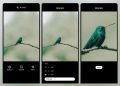 VSCO AI Lab ahora puede mejorar las imágenes hasta 4 veces